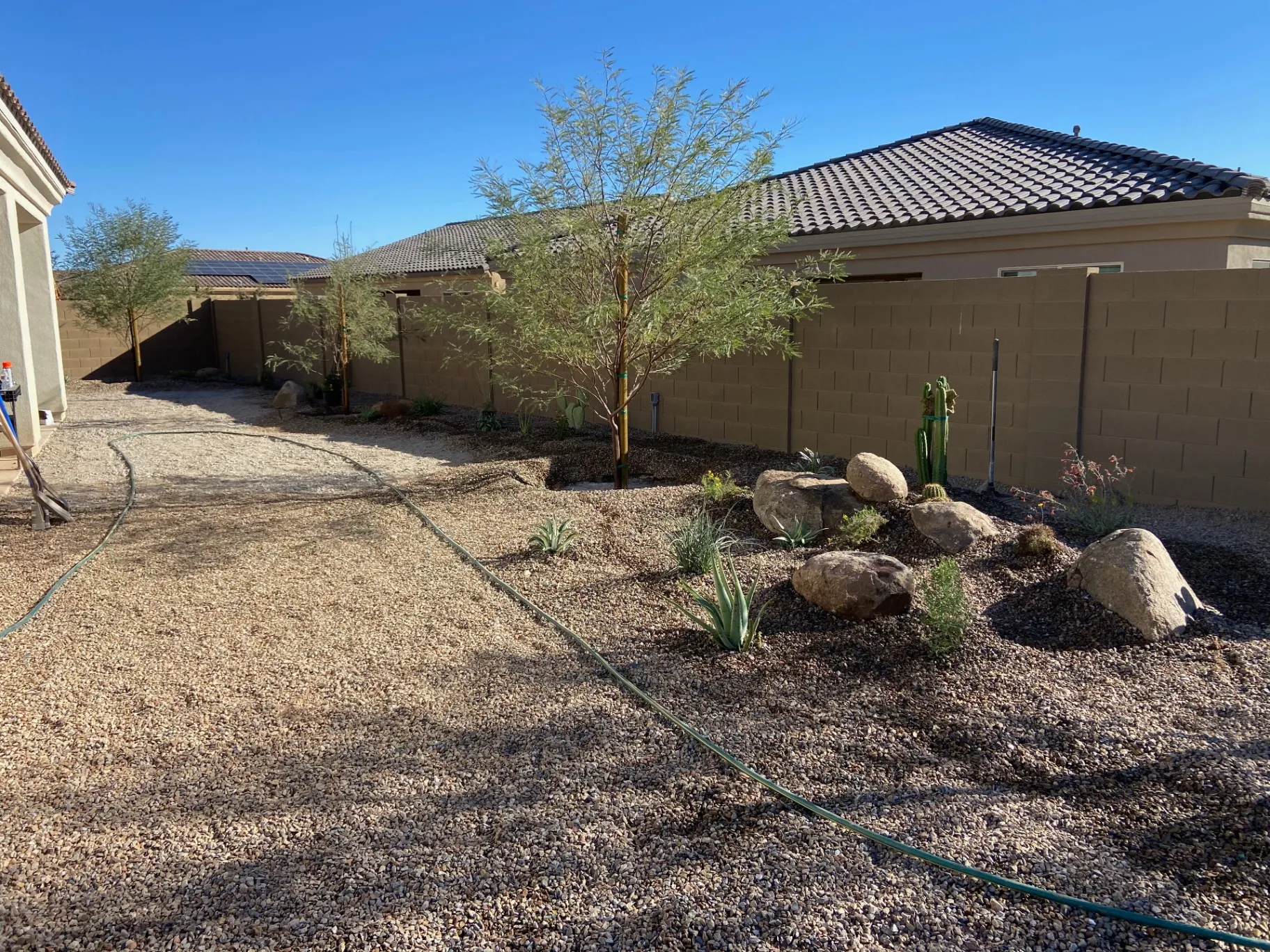 Planting and irrigation in progress