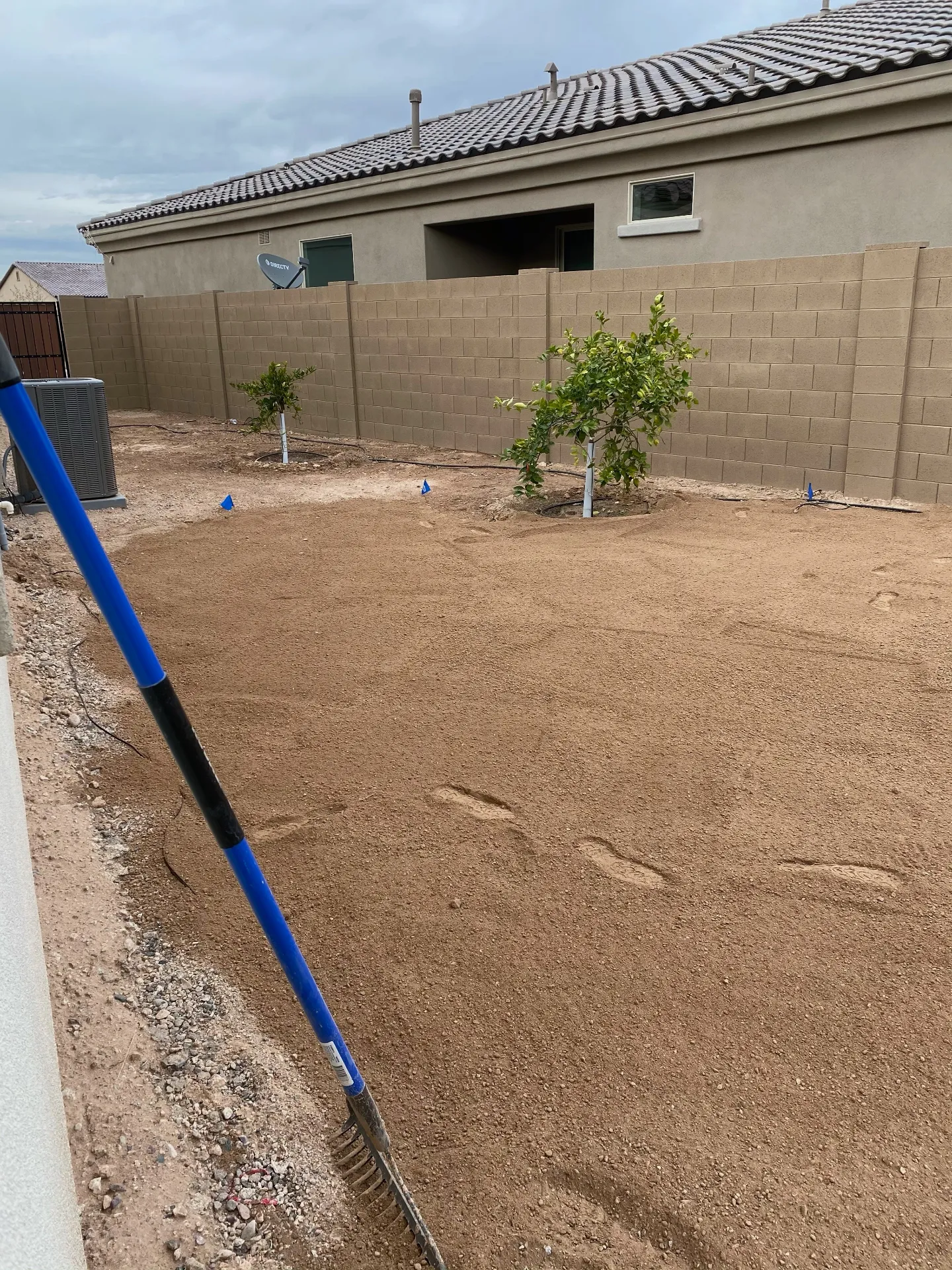 Backyard before - grading in progress