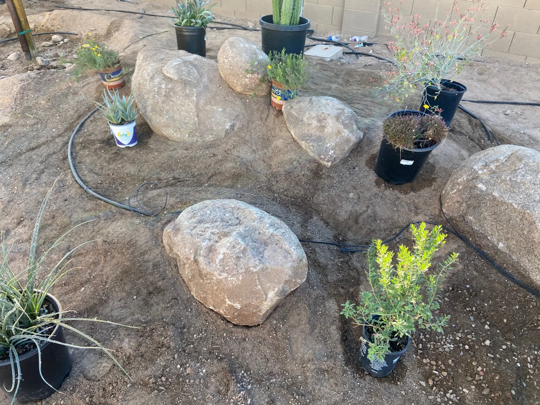 Boulder and plant placement in progress